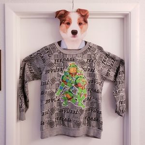 Junior's - 1990s Ninja Turtles - Pullover